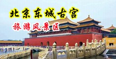 欧美骚婊子荡妇视频中国北京-东城古宫旅游风景区